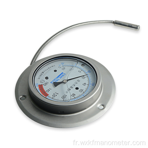 Thermomètre à anneau en acier inoxydable NPT
